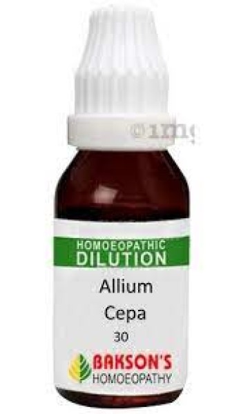 Allium Cepa